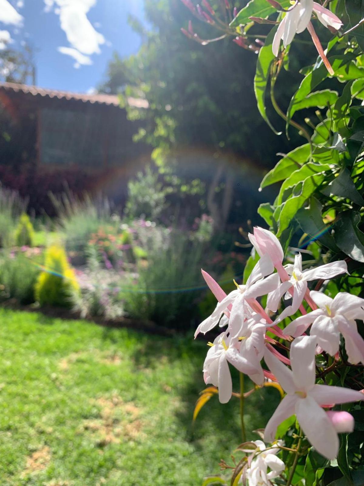Bed and Breakfast Petite Marie Casona Boutique Yucay Zewnętrze zdjęcie